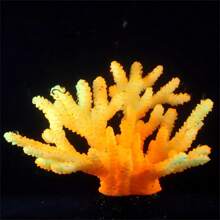 1 Pc Drains For Aquariums Aquarium Dr Fluorescent Plants Staghorn Coral Reef Dr Incandescent Drains For Aquariums Betta Fish