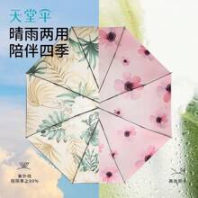 Outdoor Umbrellas