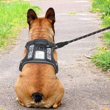 Heavy Duty Tactical Dog Harness For Small Dogs, No Pull Adjustable Pet Harness Reflective Service Training Easy Control Pet Vest Military K9 Working Dog Harnesses- Small, Black - Black - View 5