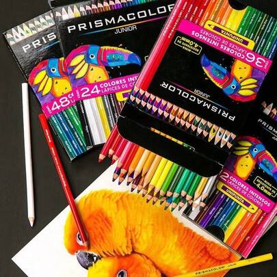 Bút chì màu lõi mềm PRISMACOLOR, Bộ bút chì màu gốc dầu dành cho người mới bắt đầu, Màu sắc sống động, Thích hợp để vẽ, phác thảo và tô màu, Có nhiều lựa chọn