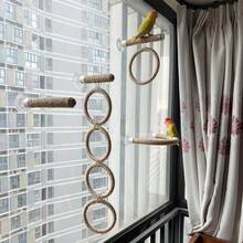 多功能麻绳鹦鹉栖木，可吸盘安装在玻璃上作为鹦鹉空中栖木，也可安装在笼子里作为鹦鹉秋千和 U 型栖木，多功能鹦鹉运动架和游乐场