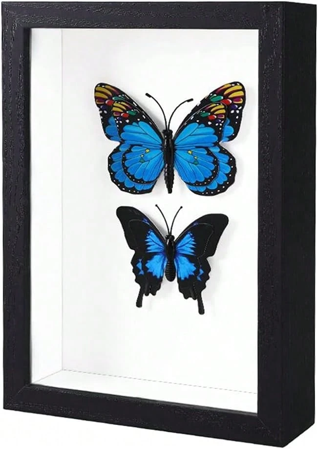 Shadow Box 5x7 Picture Frame With Real Glass Deep Wood Memory Box Display Case For Flowers,Ticket,Memorabilia,Keepsake,Medal,Art And Photos,Black - Black - View 1