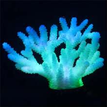 1 Pc Drains For Aquariums Aquarium Dr Fluorescent Plants Staghorn Coral Reef Dr Incandescent Drains For Aquariums Betta Fish