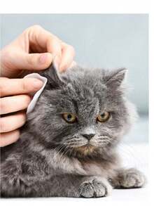 50PCS Dog And Dog Mom Ear Cleaning Finger Towels, Reusable, Suitable For Dog And Cat And Cat Mom, Cat/Dog Gifts And Dog/Cat Mom Pet Ear Towels, Soft And Easy To Use Ear Cleaning Pad, Non Stimulating, Pet Oral Cleaning Finger Cover, Pet Ear Cleaning Wet Wipes, Cat And Dog Ear Cleaning