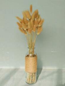 59/119 件干兔尾巴花，蒲苇天然兔尾草干花插花，适用于波西米亚风装饰、家居婚礼 DIY 工艺装饰、秋季装饰、秋季 - 棕色 - 查看 4