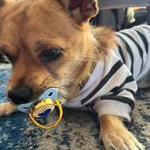 1 Shiny Diamond Shaped Silicone Pet Chew Toy, I Love You Letter Pattern, With Dust Cover, Used To Relieve Dog Anxiety, Reliable, Suitable For All Breeds, Daily Companions, Holiday Gifts, Chew Toy | Shiny Design | Chew Toy - Multicolor - View 11