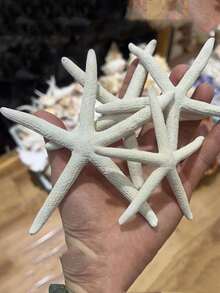 3/6件贝壳大五指海星标本地中海家居地台墙贴装饰系列配件桌面摆件海洋装饰墙面系列家居饰品树脂海星地中海风格鱼缸装饰摆件 - 白色 - 查看 7