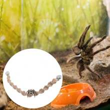 TXHF Jumping Spider Rope Bridge With Magnets Magnetic Jumping Spiders Climbing Rope Spider Twine Ladders Braided Jumping Spider Accessories For Pet Tiny Animals Enclosure Decorations
