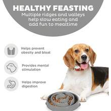 Outward Hound Fun Feeder Slo Bowl, Slow Feeder Dog Bowl, Medium/Mini, Turquoise - 灰色的 - 查看 2