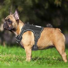 Heavy Duty Tactical Dog Harness For Small Dogs, No Pull Adjustable Pet Harness Reflective Service Training Easy Control Pet Vest Military K9 Working Dog Harnesses- Small, Black - Black - View 2