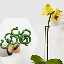 10pcs Plant/Potted Plant Support Rods, Anti-Falling Fixing Frame, Flower Rack Stand, Simple & Stylish, Sturdy & Durable, Enhance Ornamental Value, Practical Outdoor/Garden Supplies - Multicolor - View 6