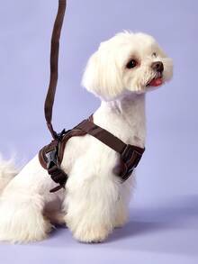 PETSIN Reflective Pet Harness And Leash Set For Dog & Cat, Escape Proof Adjustable Small Dog Harness With Soft Mesh