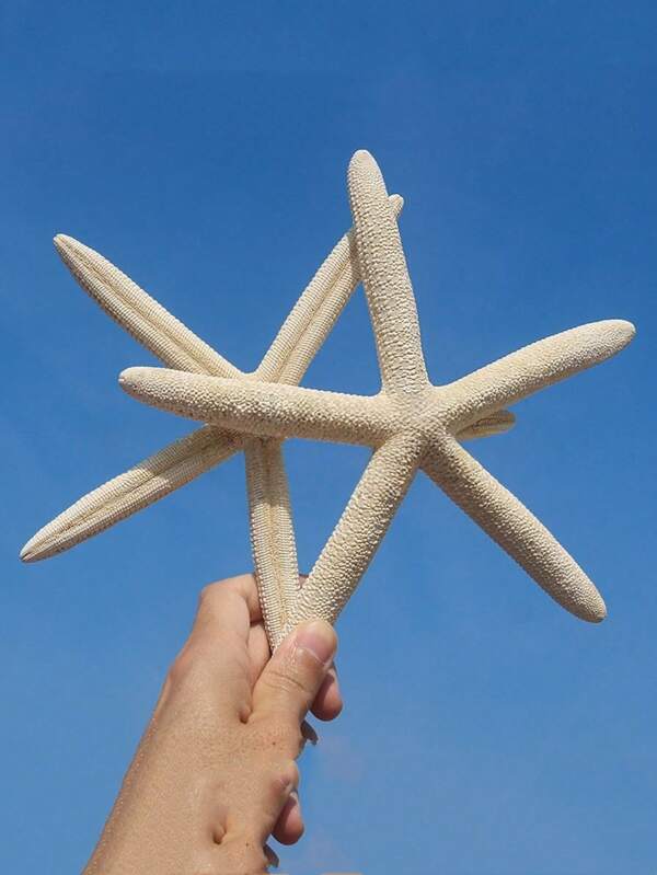 3/6pcs Sea Shell Big Five Finger Sea Star Specimen Mediterranean Home Platform Wall Stickers Decoration Series Accessories Desktop Decoration Ocean Decoration Wall Series Home Furnishings Resin Starfish Mediterranean Style Fish Tank Decoration Ornament