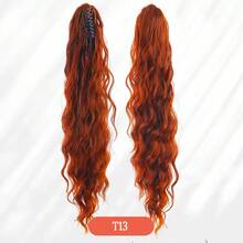 T13