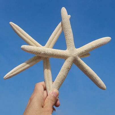 3/6pcs Sea Shell Big Five Finger Sea Star Specimen Mediterranean Home Platform Wall Stickers Decoration Series Accessories Desktop Decoration Ocean Decoration Wall Series Home Furnishings Resin Starfish Mediterranean Style Fish Tank Decoration Ornament