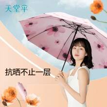 Outdoor Umbrellas