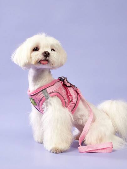 PETSIN 一入組寵物胸背帶和禮帶套裝,適用於貓和狗,四季適用,小型/中型,背心式防勾帶繩,野外步行舒適的網狀布材質,可調節反光貓胸背帶