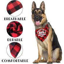 TXHF B15 Big Brother Dog Bandana Plaid Dog Scarf Accessory Gender Reveal Pet Gift
