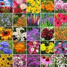 341Types Of Perennial Mixed Wildflower, Bulk Packaged, Easy To Plant And Maintain, Attract Pollinators - 341 - View 1