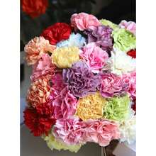 200+ Mixed Narcissus Bulbs For Outdoor Planting, Perennial Colorful Flowers In Various Colors Including Yellow, White, Red, And Purple For Front Garden, Home Garden, Driveway, Terrace, Balcony, And Office, Outdoor Flower Plants, Gardening Nature - Carnation Mix Flower - View 1