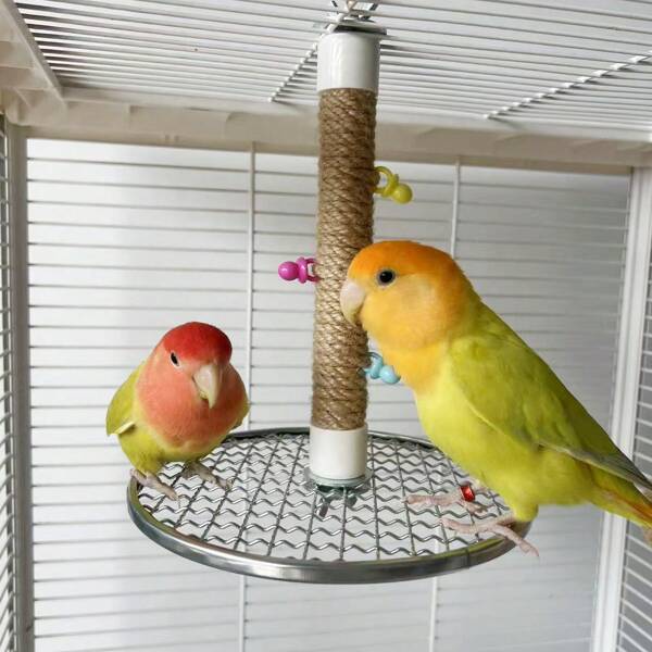 1pc Stainless Steel Bird Cage Stand With Chewing Toys, Novel Parrot Perch Platform With Sisal Rope Post For Biting And Playing, Bird Cage Accessories