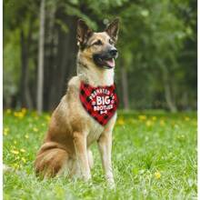 TXHF B15 Big Brother Dog Bandana Plaid Dog Scarf Accessory Gender Reveal Pet Gift