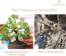 Bonsai Tree Wire 98 Feet Green Aluminum Bonsai Tree Training Wire For Indoor And Outdoor Plant (Green, 1mm, 30m) - Multicolor - View 6