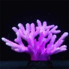 1 Pc Drains For Aquariums Aquarium Dr Fluorescent Plants Staghorn Coral Reef Dr Incandescent Drains For Aquariums Betta Fish