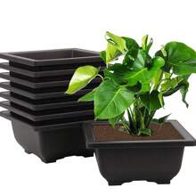 Maceta de plástico imitación Zisha cuadrada y rectangular, maceta para bonsái, contenedor pequeño para plantas en maceta, maceta para plantas suculentas