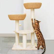Cat Tree Tower With Rattan Wicker Basket, Handwoven Large Nest Basket Bed, Window Perch For Large Cats Up - 2 Baskets - View 2