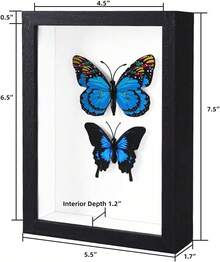 Shadow Box 5x7 Picture Frame With Real Glass Deep Wood Memory Box Display Case For Flowers,Ticket,Memorabilia,Keepsake,Medal,Art And Photos,Black - Black - View 2