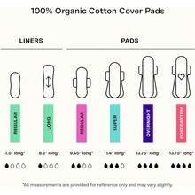 The Honey Pot Company - Herbal Sanitary Pads For Women - Regular Flow W/Wings - Infused W/Essential Oils For Cooling Effect & Organic Cotton Cover - Feminine Care - FSA & HSA - 20 Ct - 48 Count (Pack of 1) - 查看 7
