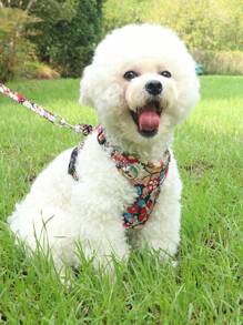 1pc Daisy Flower Print Pet Harness Set, Daisy Flower Print Pattern, Summer Breathable Mesh Material With Reflective Stripe, Adjustable Non-Choke Cat/Dog Harness And Leash Set, Suitable For Small/Medium Pets