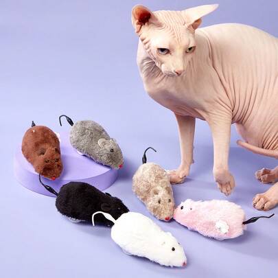 PETSIN 猫玩具发条老鼠造型玩具老鼠猫玩具上链赛车老鼠小猫毛绒玩具宠物猫户外小猫玩耍