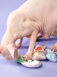 PETSIN Brinquedos de Catnip para Gatos de Interior - 5 tipos de brinquedos de pelúcia para mastigar e interativos com enchimento de catnip para gatinhos, brinquedo para animais de estimação macio (formas de animais) - Multicolorido - Visão 2