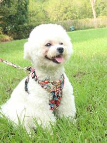 1pc Daisy Flower Print Pet Harness Set, Daisy Flower Print Pattern, Summer Breathable Mesh Material With Reflective Stripe, Adjustable Non-Choke Cat/Dog Harness And Leash Set, Suitable For Small/Medium Pets