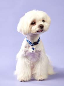 PETSIN 1 件可调节卡通猫项圈带铃铛,涤纶纤维,可分离安全扣 - 必备,猫和小型犬的宠物配件 - 彩色 - 查看 3