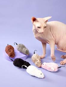 PETSIN 猫玩具发条老鼠造型玩具老鼠猫玩具上链赛车老鼠小猫毛绒玩具宠物猫户外小猫玩耍 - 彩色 - 查看 5