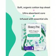 The Honey Pot Company - Herbal Sanitary Pads For Women - Regular Flow W/Wings - Infused W/Essential Oils For Cooling Effect & Organic Cotton Cover - Feminine Care - FSA & HSA - 20 Ct - 48 Count (Pack of 1) - 查看 4