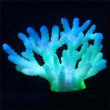 1 Pc Drains For Aquariums Aquarium Dr Fluorescent Plants Staghorn Coral Reef Dr Incandescent Drains For Aquariums Betta Fish