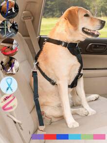 1 件宠物车牵引绳，可伸缩，适用于宠物车和宠物牵引绳