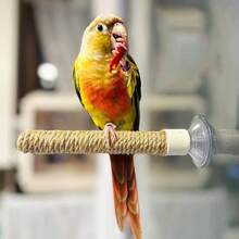 多功能麻绳鹦鹉栖木，可吸盘安装在玻璃上作为鹦鹉空中栖木，也可安装在笼子里作为鹦鹉秋千和 U 型栖木，多功能鹦鹉运动架和游乐场
