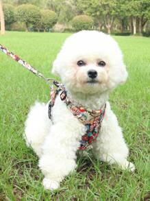 1pc Daisy Flower Print Pet Harness Set, Daisy Flower Print Pattern, Summer Breathable Mesh Material With Reflective Stripe, Adjustable Non-Choke Cat/Dog Harness And Leash Set, Suitable For Small/Medium Pets