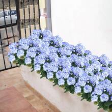 2 Pcs Artificial Geraniums Outdoor Silk Flowers Light Purple Artificial Geranium Bush Faux Flowers Geraniums For Floral Home Decor Indoor Garden Patio Grave Cemetary Vase Table Centerpiece - 紫色 - 查看 7