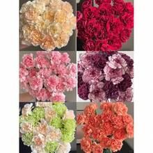 200+ Mixed Narcissus Bulbs For Outdoor Planting, Perennial Colorful Flowers In Various Colors Including Yellow, White, Red, And Purple For Front Garden, Home Garden, Driveway, Terrace, Balcony, And Office, Outdoor Flower Plants, Gardening Nature - Carnation Mix Flower - View 4