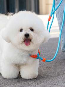 Laisse pour chien de compagnie, corde de traction amortissante en forme de P pour petits chiens/chiots, accessoire de promenade pour animaux de compagnie