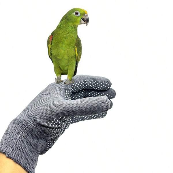 1 pieza Guantes anti-mordedura para loro, accesorios para manipular mascotas, guantes de entrenamiento para mascotas, guantes de trabajo para que los loros y hámsteres muerdan