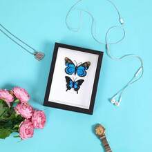 Shadow Box 5x7 Picture Frame With Real Glass Deep Wood Memory Box Display Case For Flowers,Ticket,Memorabilia,Keepsake,Medal,Art And Photos,Black - Black - View 6