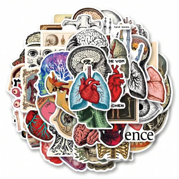 50Pcs Brain Sticker Roll Scrapbooking Aesthetic Stickers Neuroscience Stickers Anatomy Stickers Doctor Stickers Vinyl Waterproof Stickers For Water Bottle,Computer,Laptop,Phone,Luggage,Notebook,Fridge