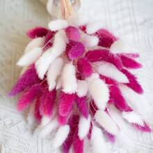 30/60/100/120/140 pezzi profumo decorativo in erba coda di coniglio multicolore in stile boho chic per decorazione casa, centrotavola matrimonio, decorazioni primaverili, Pasqua, festa della mamma, San Valentino, decorazioni autunnali